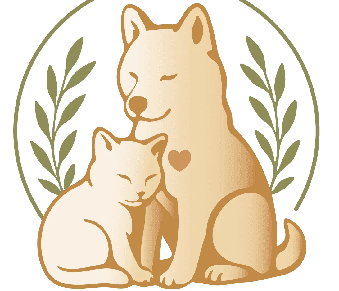 Projet Pawzen