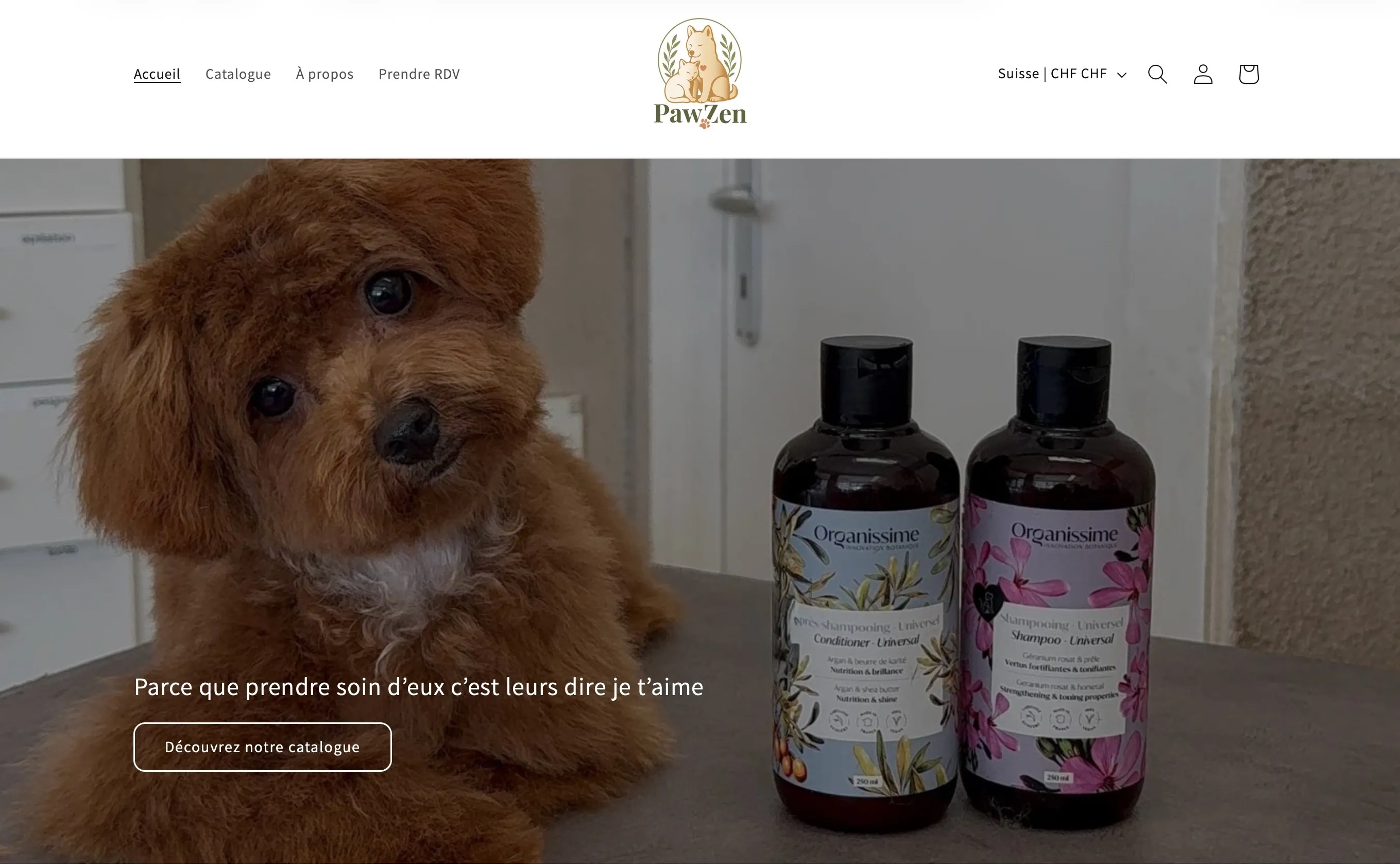 Projet Pawzen