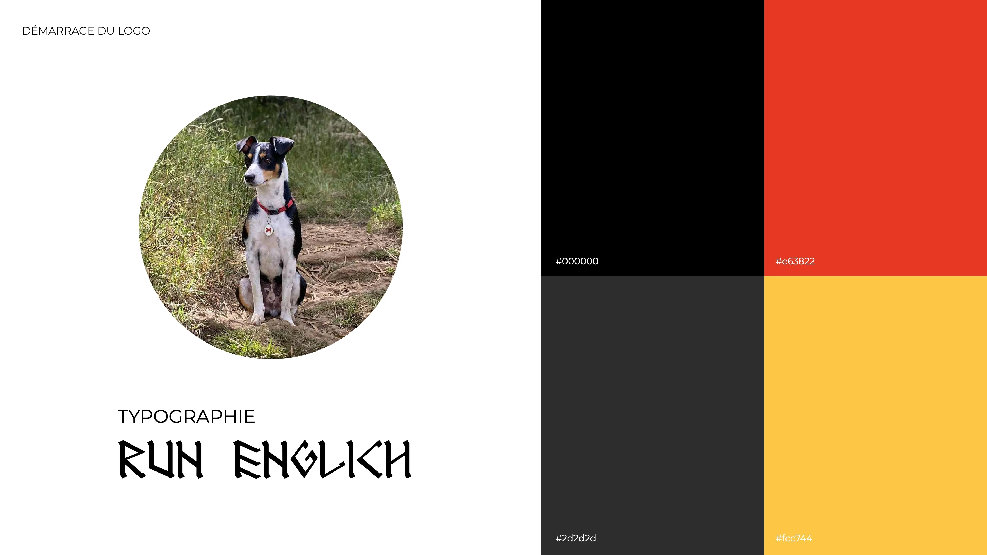 Projet King Bourbon, le logo