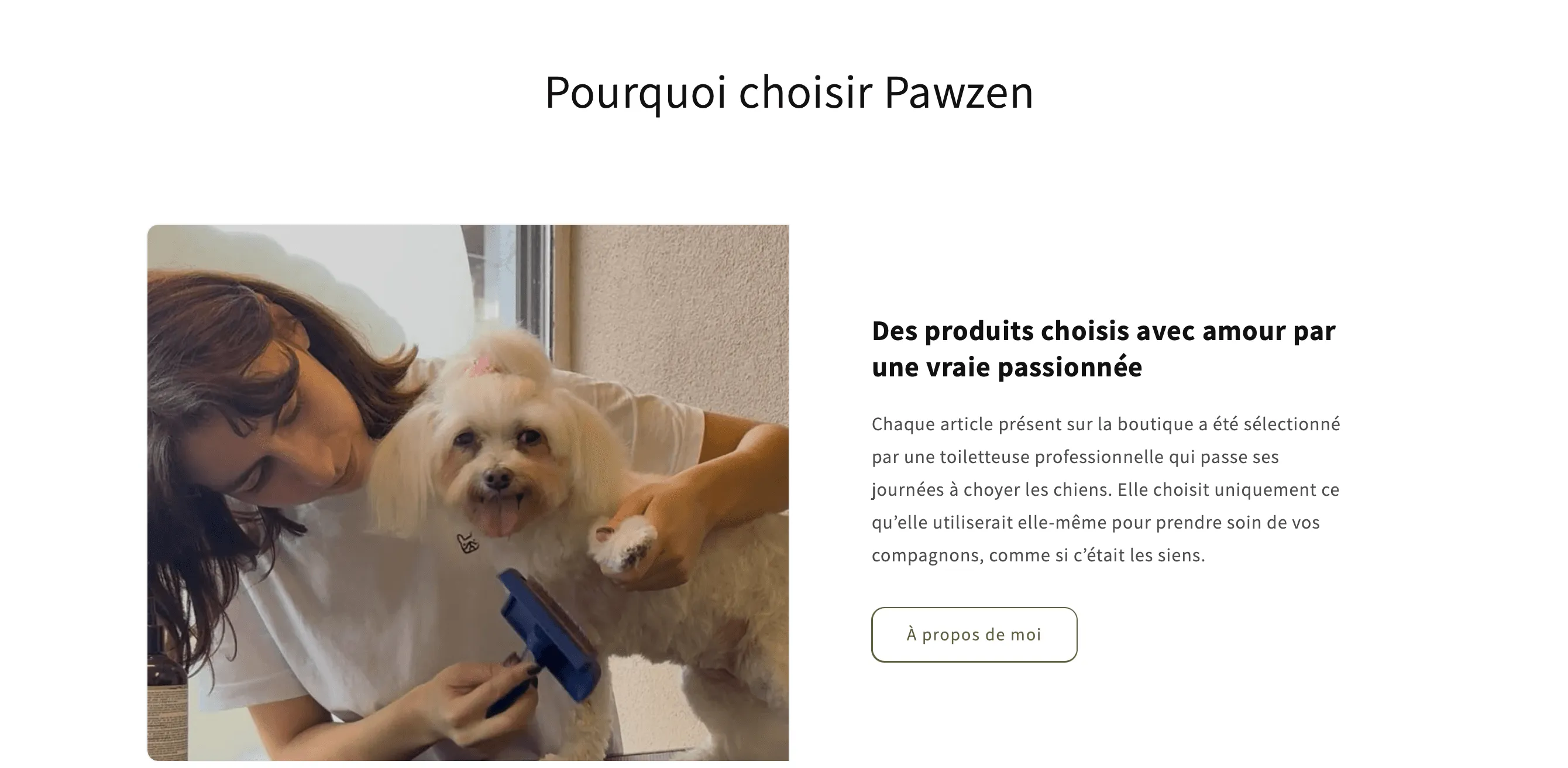 Projet Pawzen
