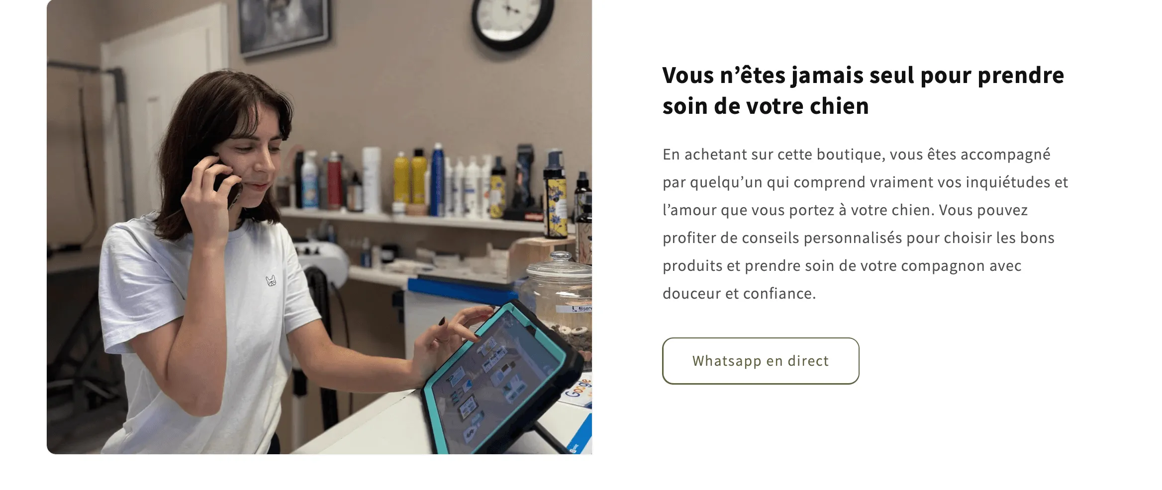 Projet Pawzen